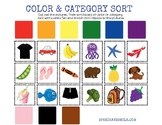 Color Category Sorting Mat Worksheet