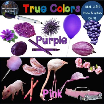 Color Clip Art Pink & Purple Photo & Artistic Digital Stickers | TpT