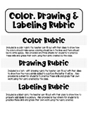 Color, Drawing & Labeling Rubrics & Worksheets