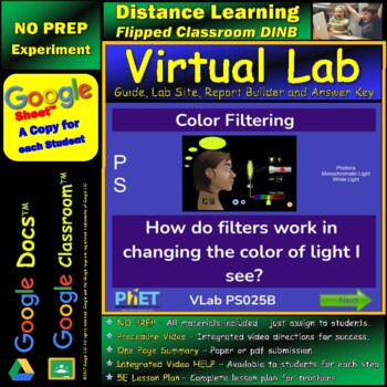 Preview of Color Filtering STAR* Virtual Lab Google Docs™ DINB