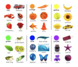 Color Image Reference Cards