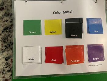 Preview of Color Match Activity