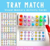 Color Matching Activity Cards | Visual Memory
