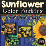Color Posters- Farmhouse Classroom Decor