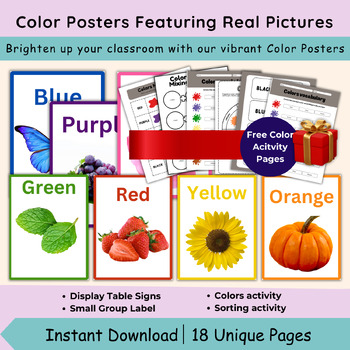 Preview of Color Posters Featuring Real Pictures-Class Activity/Class Decor