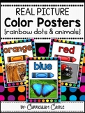Color Posters {Rainbow Dots & Animal Theme}