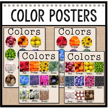 Preview of Color Posters / Reggio Inspired Nature / Colour Posters