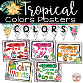 Color Posters- Tropical Classroom Decor Jungle Rainforest