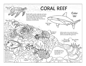 Preview of Color Reef Coloring page