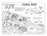 Color Reef Coloring page