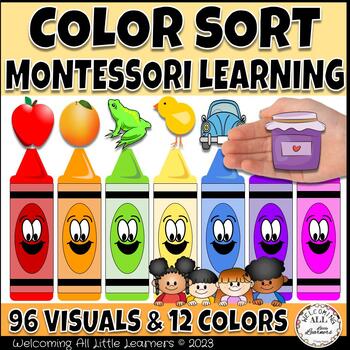 Preview of Montessori Color Sort Activity Binder
