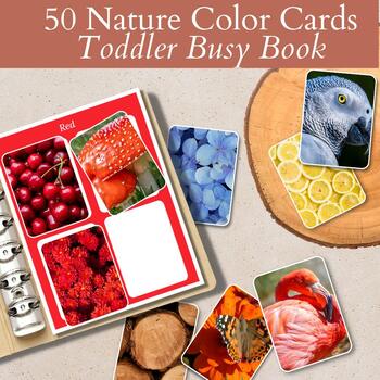 Preview of Color Sorting Cards, Toddler Matching Busy Book Activity, Nature Real Photos
