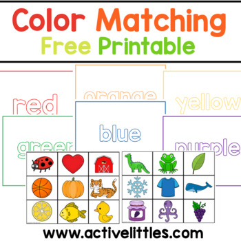 Preview of Color Sorting Toddler Resource