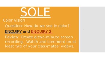 Preview of Color Vision virtual SOLE (student organized learning environment)