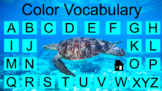 Color Vocabulary interactive slides