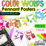 Color Words Pennant Posters - Modern Brights FREEBIE