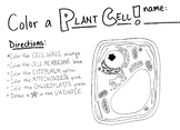 Color a Plant Cell