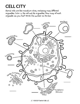 Preview of Color and Count Parts of a Cell Worksheet (Pipette Kids Science Coloring Book)