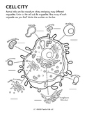 Color and Count Parts of a Cell Worksheet (Pipette Kids Sc