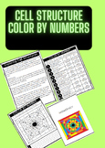 Color by numbers: Cell structures - Biology