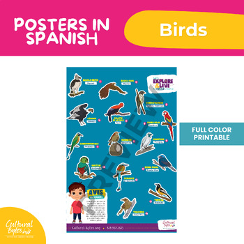 Preview of Color poster - Birds in Spanish - Hispanic Heritage Month