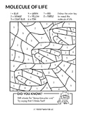 Color the DNA Worksheet (Pipette Kids Science Coloring Book)