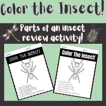 Color The Insect: Label Parts Of An Insect Activity Worksheet Life Science