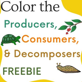 Preview of Color the Producers, Consumers, and Decomposers FREEBIE
