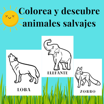 Colorea y revela animales salvajes. by We are all to help the teacher