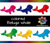 Colored Beluga Whale