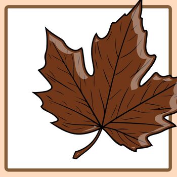 maple leaves clip art