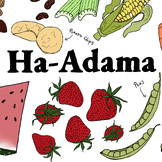 Colorful Brachos Poster - "Ha-Adamah" (Foods That Come Fro