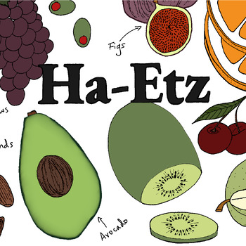 Preview of Colorful Brachos Poster - "Ha-Etz" (Foods That Come From Trees)