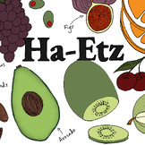 Colorful Brachos Poster - "Ha-Etz" (Foods That Come From Trees)
