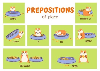 Colorful Cute Hamster Prepositions of Place Flashcards, Prepositions of  Place.