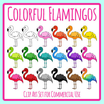 colors of flamingos