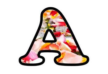 Preview of Colorful Flower Petals, Bulletin Board Letters Numbers and Symbols, Spring Decor