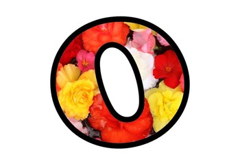 Preview of Colorful Flowers Bulletin Board Letters, Numbers and Symbols, Spring Decor Onam