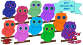 Colorful Owls - 10 Pack!