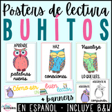 Colorful Owls Theme Spanish Reading Posters - Afiches de búhos