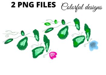 Preview of Colorful watercolor green leaves clipart