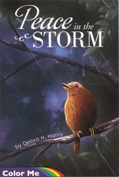 Preview of Coloring Book:  Peace in the Storm