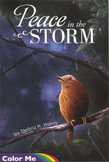 Coloring Book:  Peace in the Storm