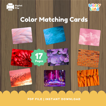 Preview of Coloring Matching Cards, Printable Matching Color, Flashcard Activity, Birthday,