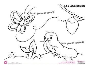 action verbs coloring pages spanish by monarca language tpt