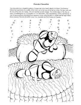 Preview of Coloring Page : Clownfish and Anemone