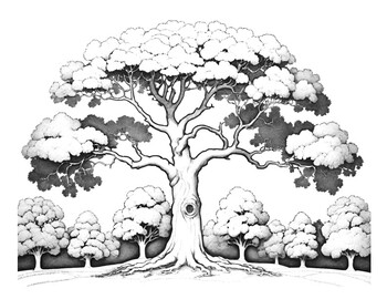 Preview of Coloring Pages Ancient Trees / Giant Trees Arbor Day Earth Day Art