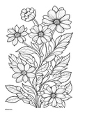 Coloring Pages Flowers and Floral Designs Spring Floral Art