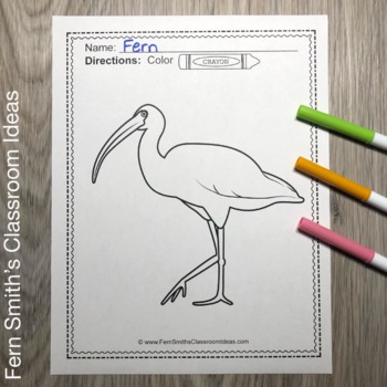 410 Everglades Animals Coloring Pages , Free HD Download