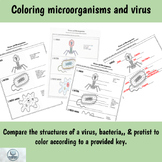 Coloring/Labeling Virus, Bacteria, Protist